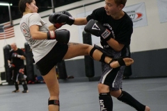 MMA-training-2
